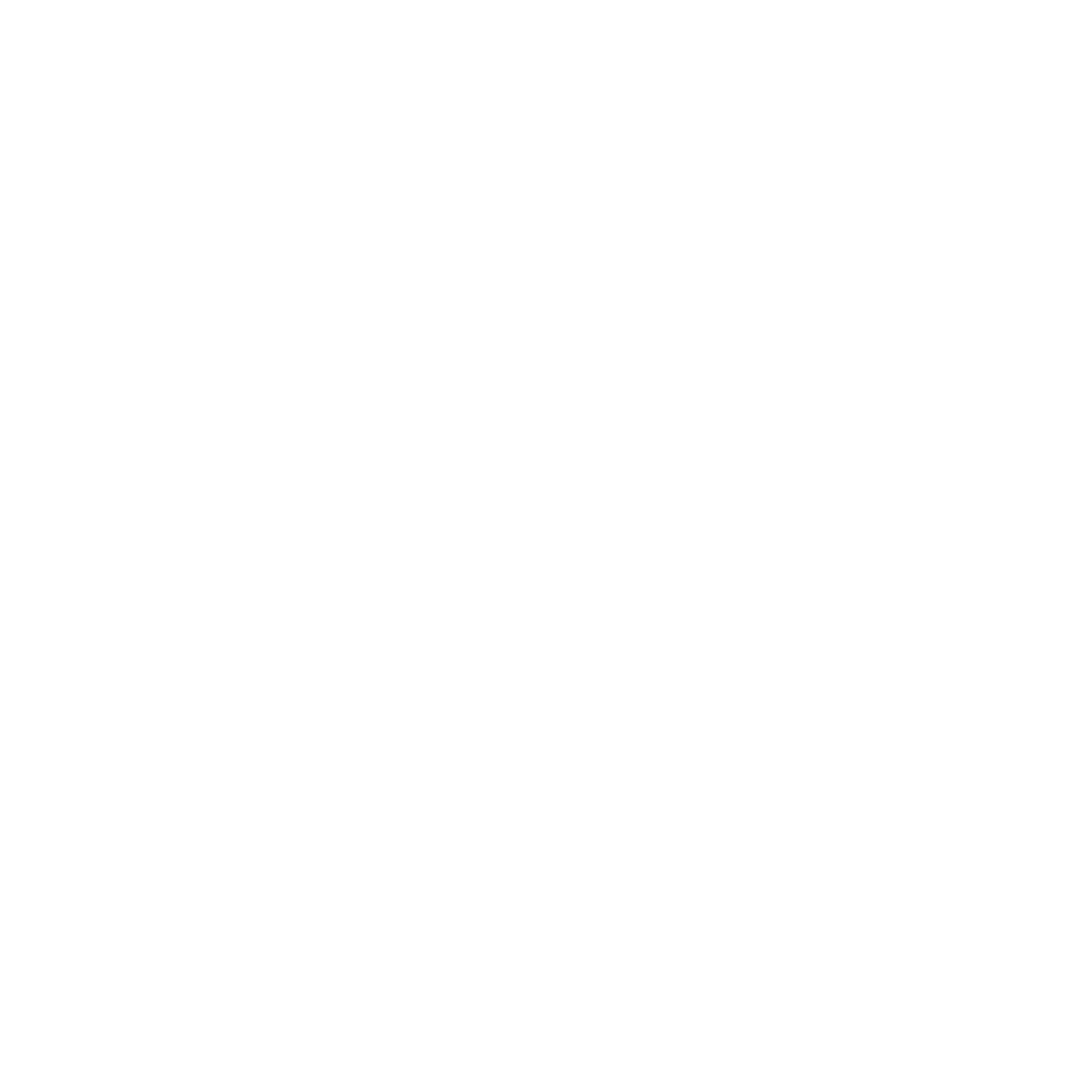 Airplane Triangle Emblem Logo #ffffff