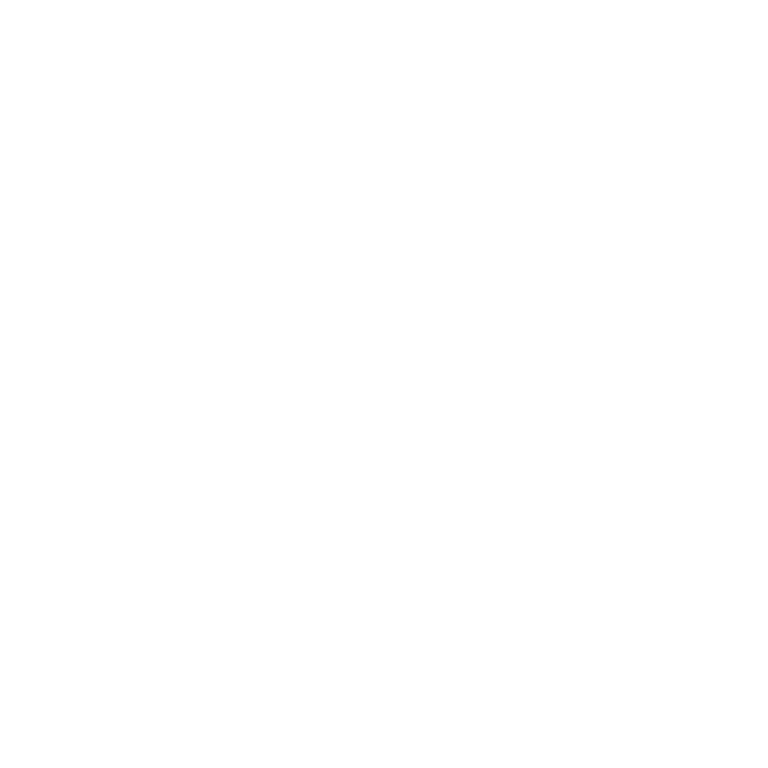High Speed Train Logo #ffffff