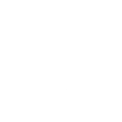 Pickleball Paddle Monoline Logo #ffffff