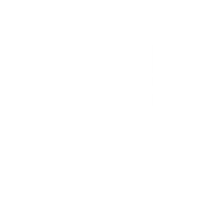 Monoline Pickleball Paddle Mountain Logo #ffffff