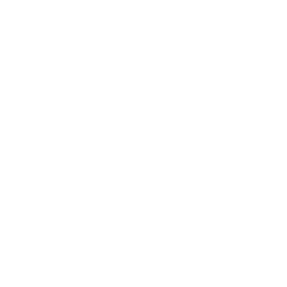 Monoline Pickleball Paddle Logo #ffffff
