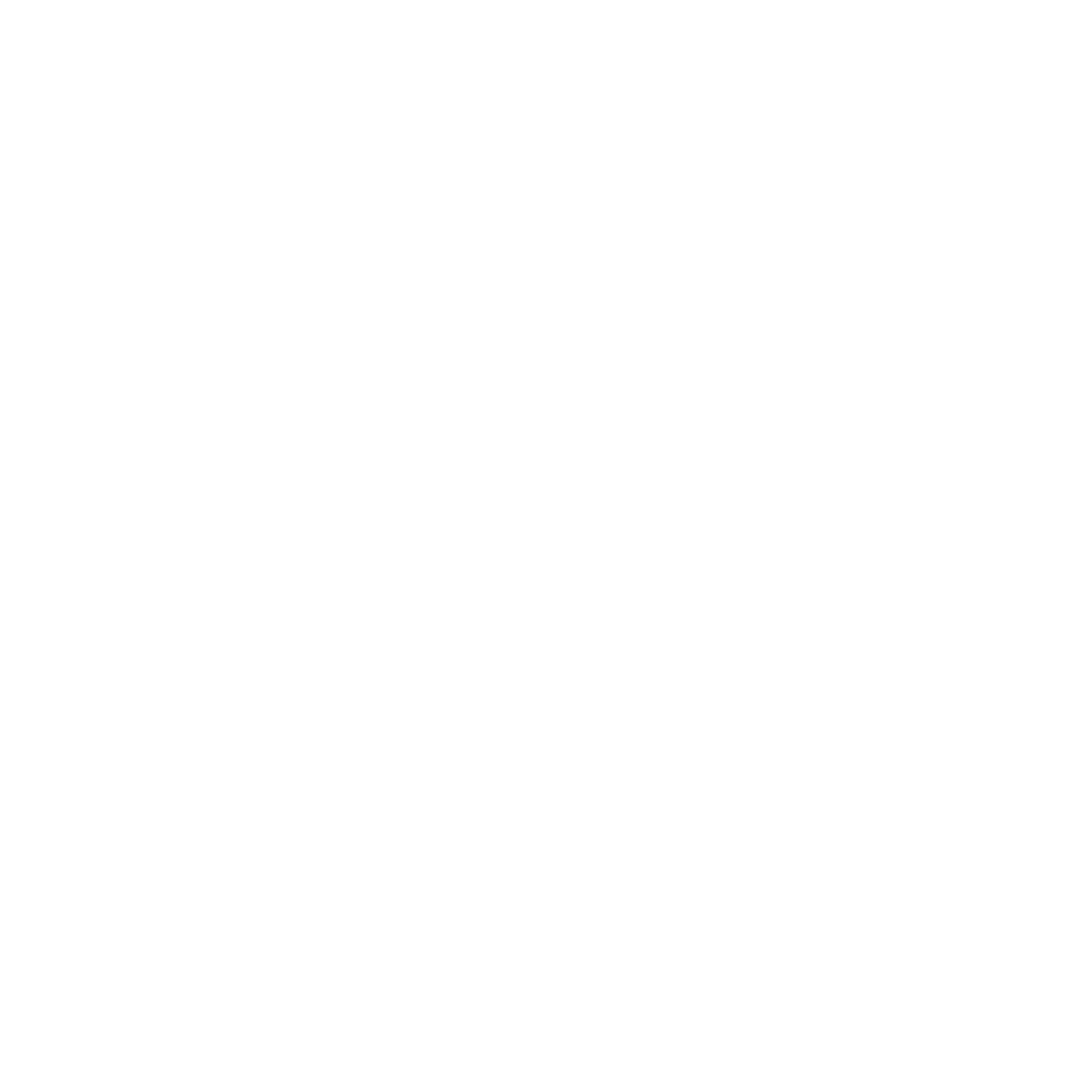 Crossed Pickleball Paddles Logo #ffffff