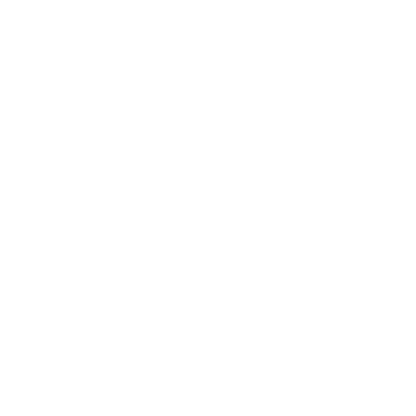Crossed Pickleball Paddles Logo #ffffff