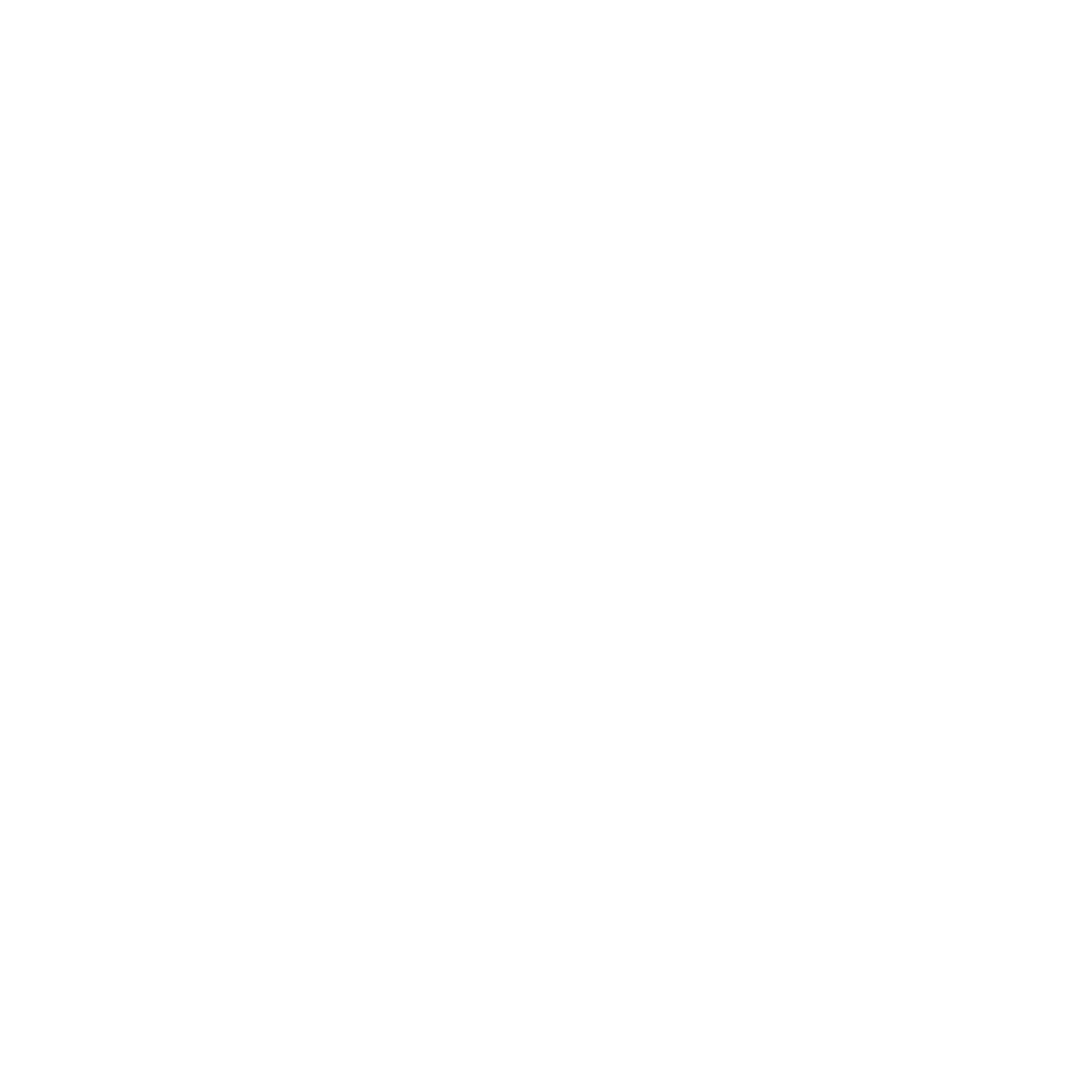 Pickleball Paddle Shield Logo #ffffff