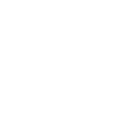 Pickleball Paddle Shield Logo #ffffff