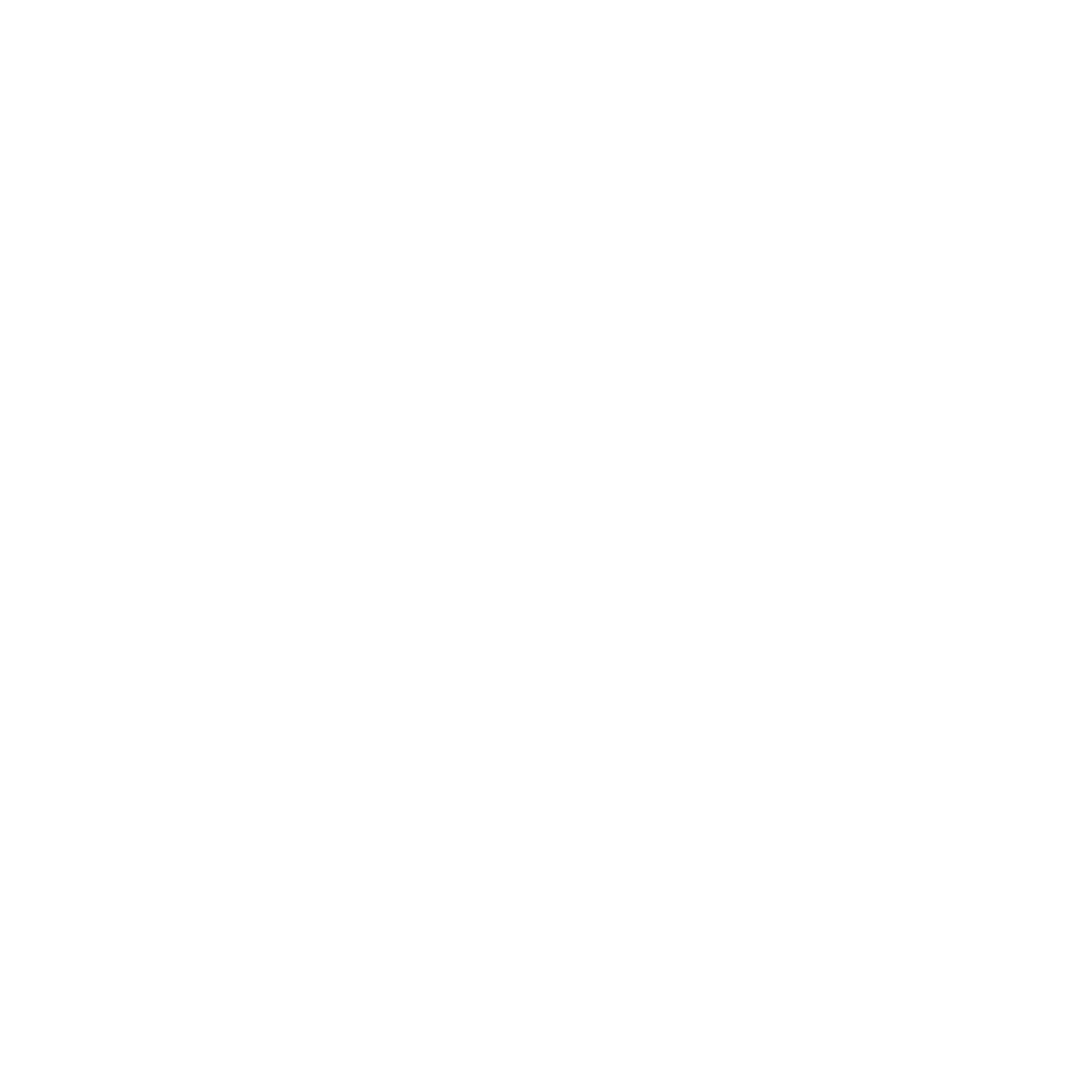 Disc Golf Basket Badge Logo #ffffff