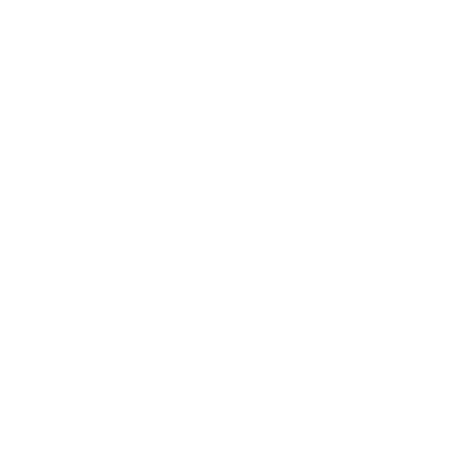 Disc Golf Chains Badge Logo #ffffff