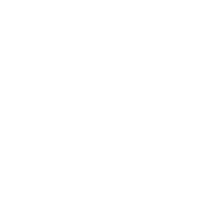 Disc Golf Chains Badge Logo #ffffff