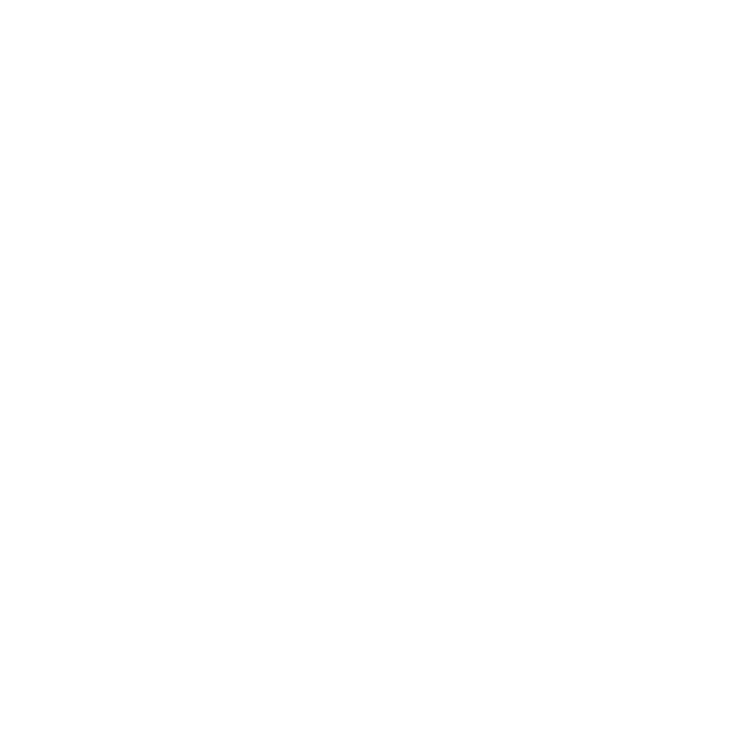 Bauhaus Spikeball Motion Logo #ffffff