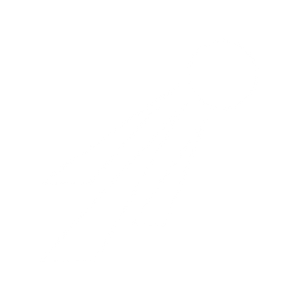 Bauhaus Spikeball Motion Logo #ffffff