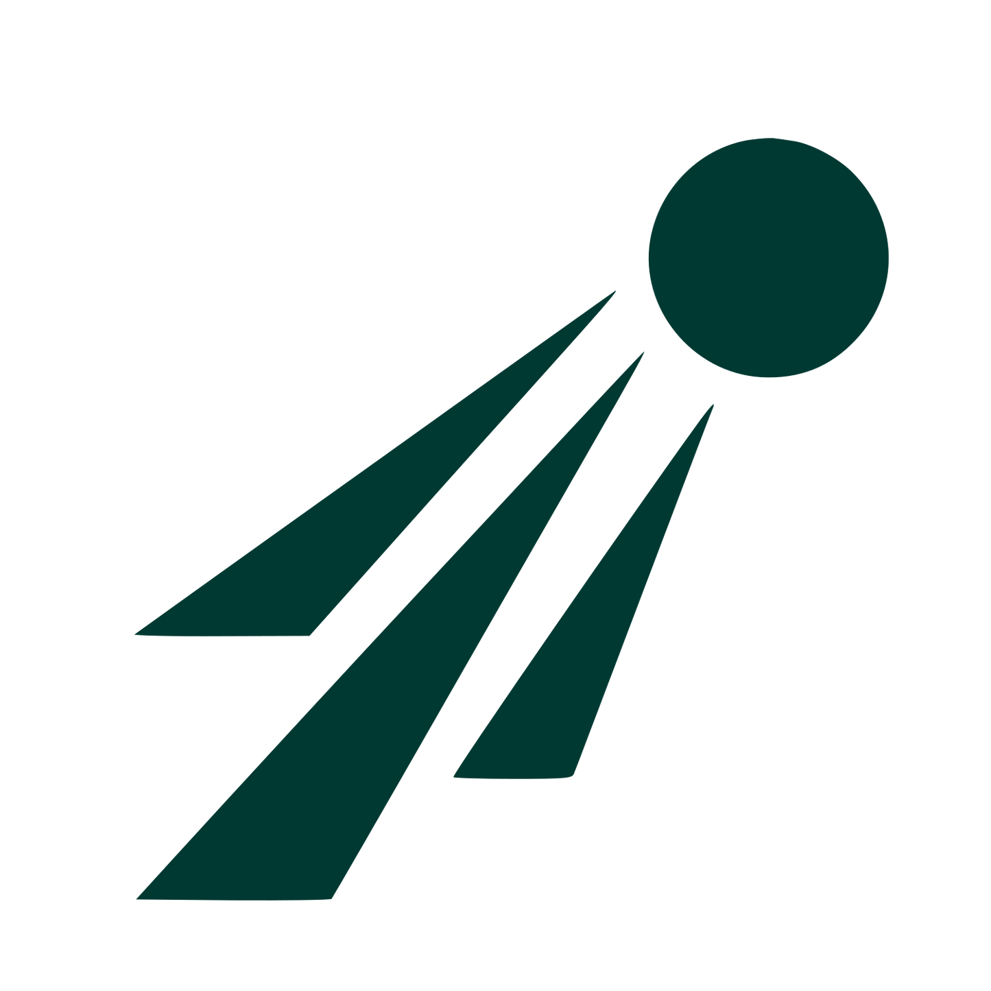 Bauhaus Spikeball Motion Logo #003932