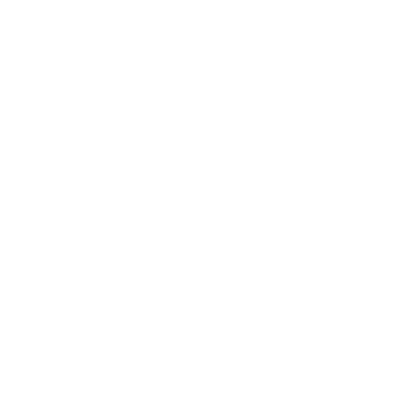 Asterisk Star of Life Logo #ffffff