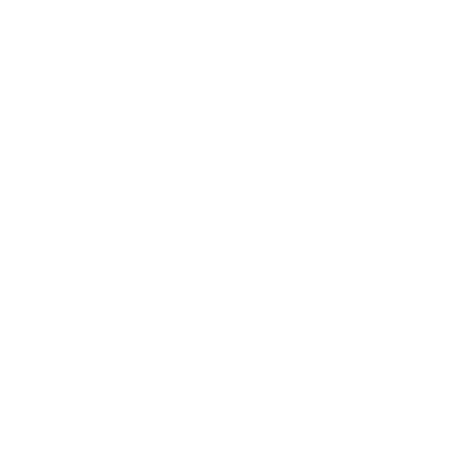 Foam Roller Swiss Logo #ffffff