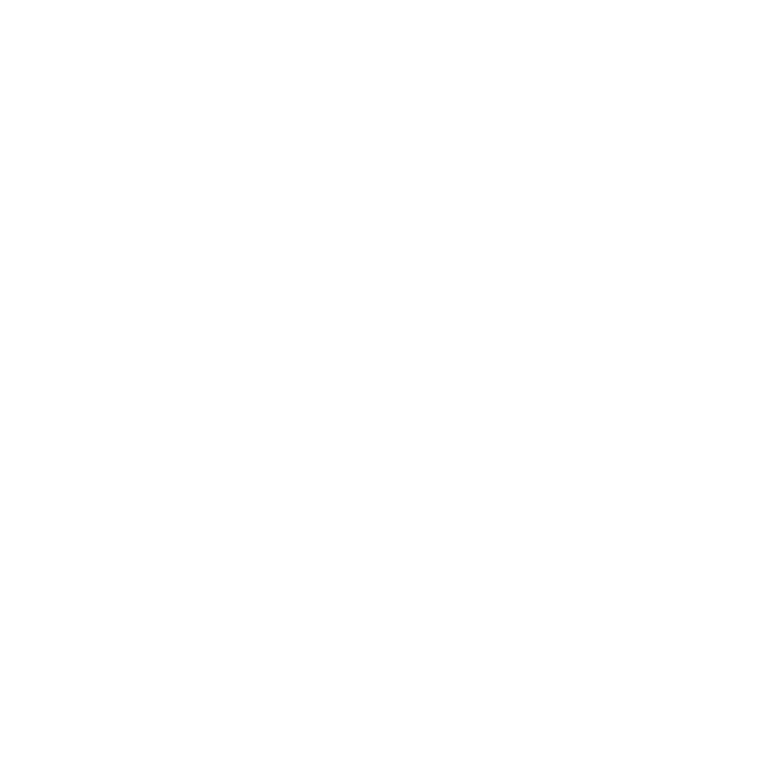 Foam Roller Circle Logo #ffffff
