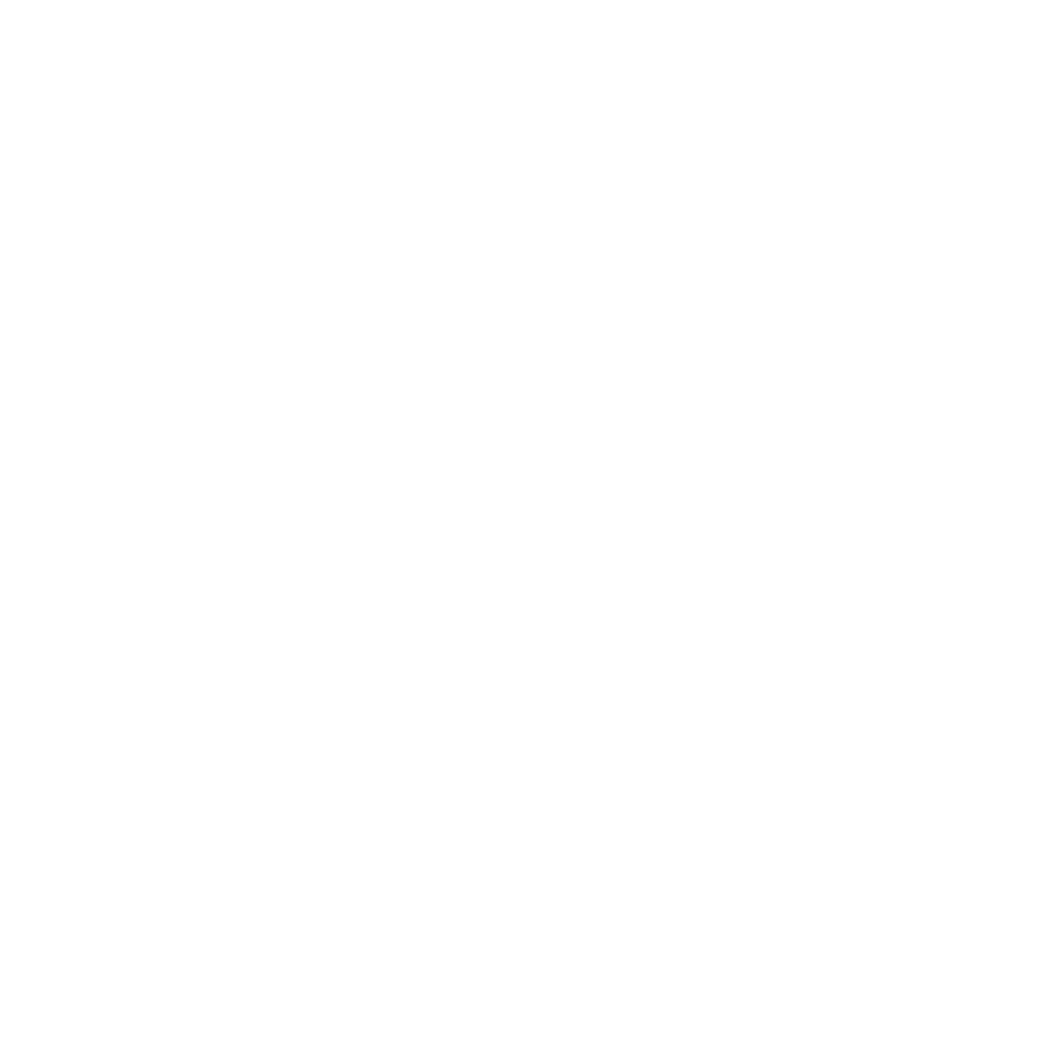 Foam Roller Fitness Logo #ffffff