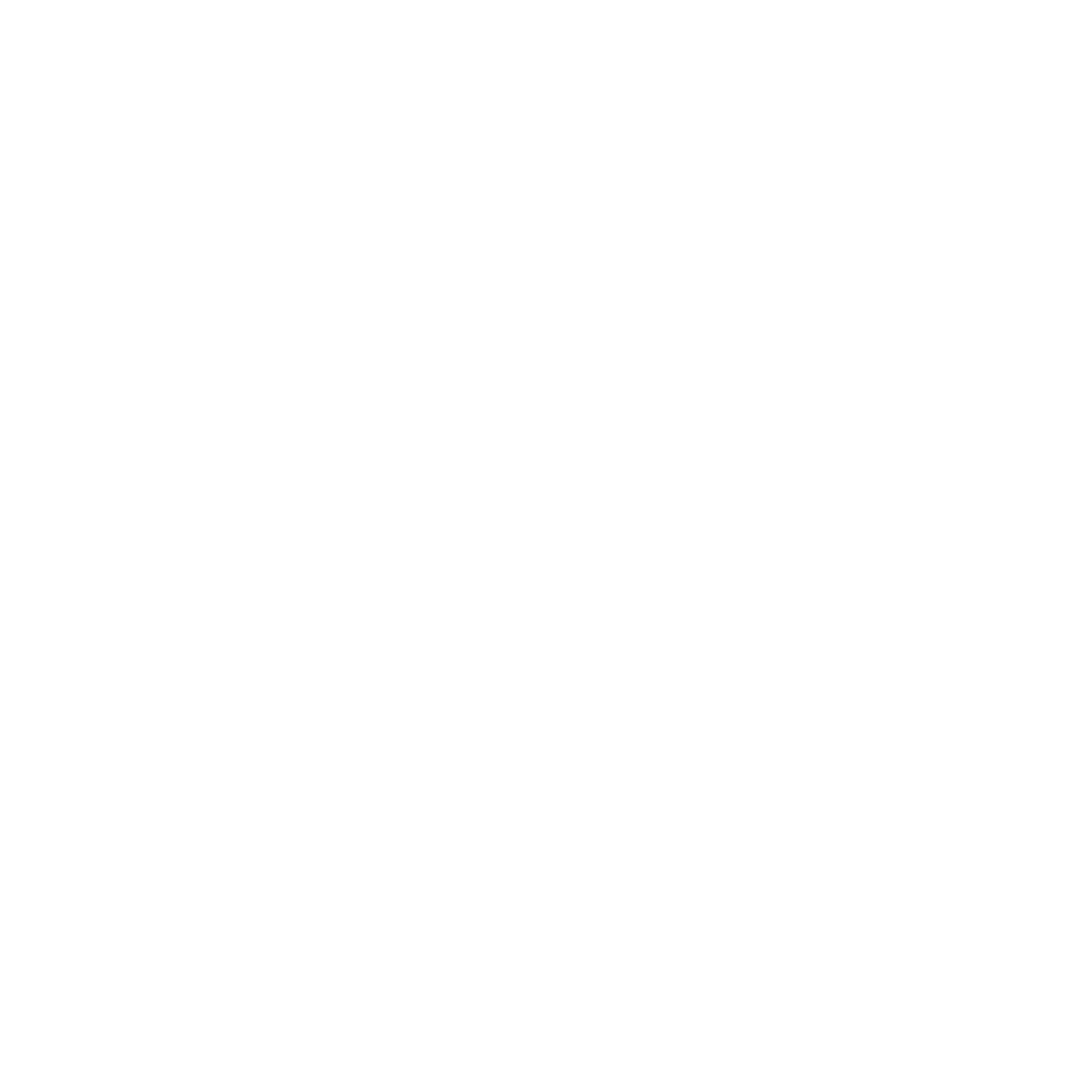 Hands Holding Sun Logo #ffffff