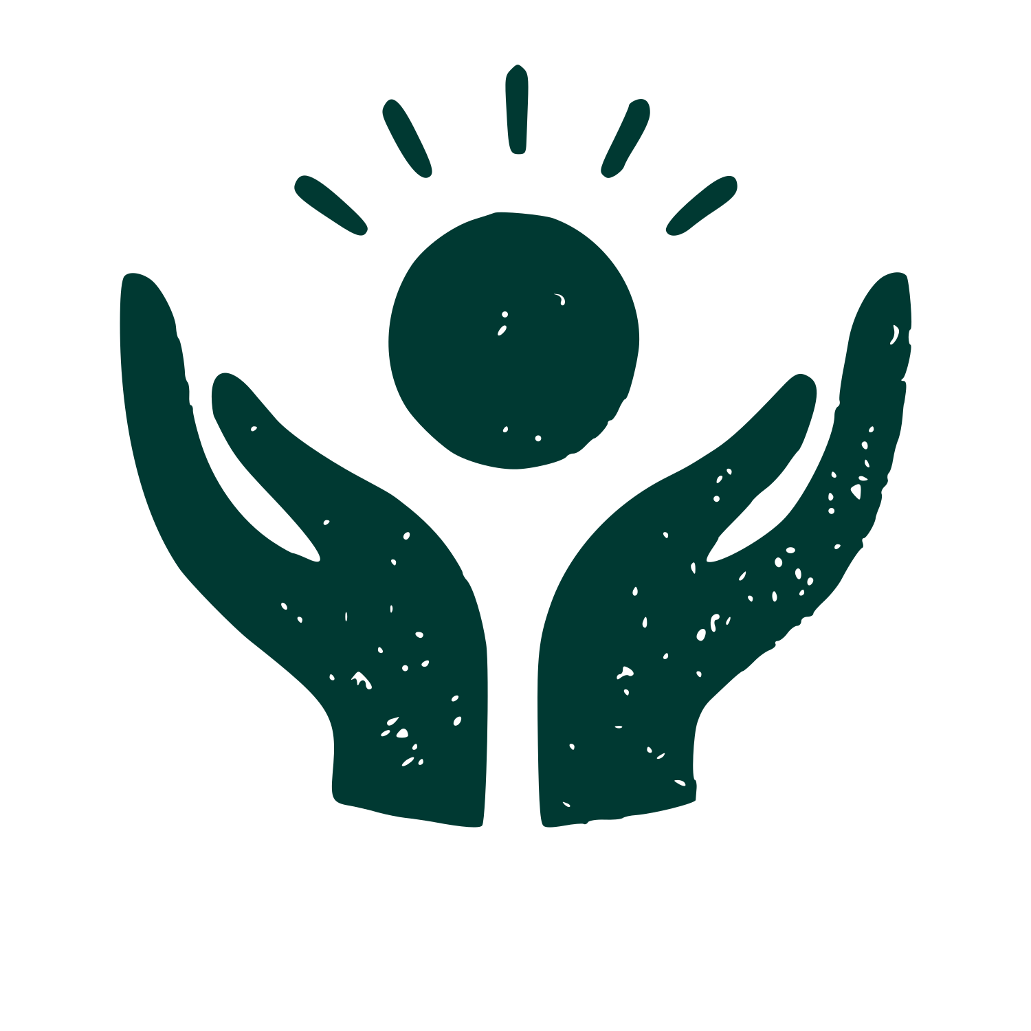 Hands Holding Sun Logo #003932