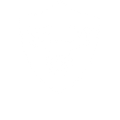 Drone Shield Monoline Logo #ffffff
