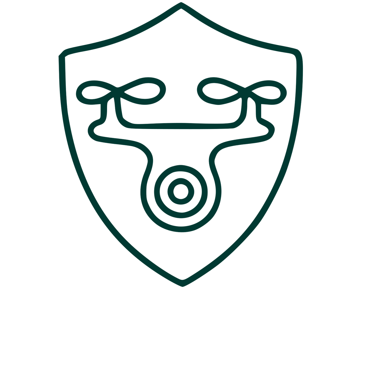 Drone Shield Monoline Logo #003932