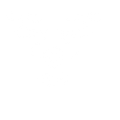 Monoline Drone Logo #ffffff