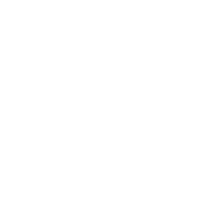 Electric Plug Bolt Logo #ffffff