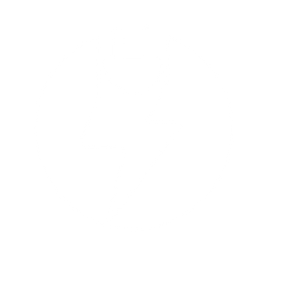 EV Charger Bolt Logo #ffffff