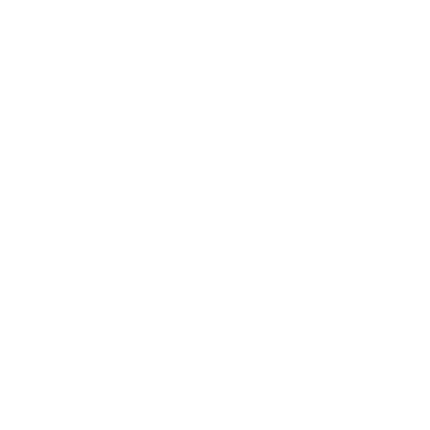 Bauhaus Smart Speaker Logo #ffffff