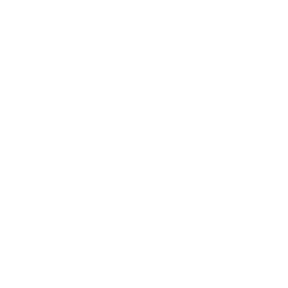 Fingerprint Diamond Overlap Logo #ffffff