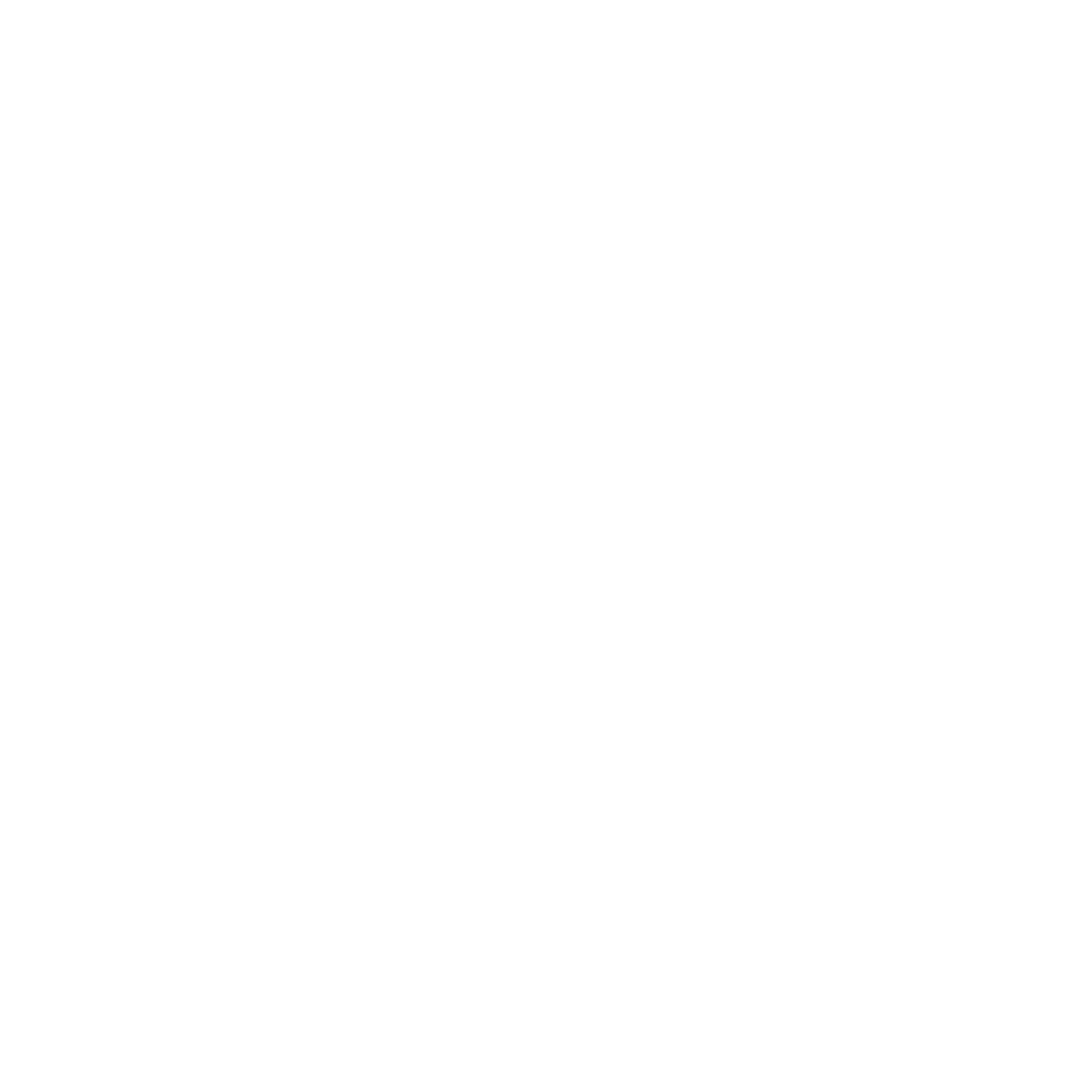 Avocado Seed Drop Logo #ffffff