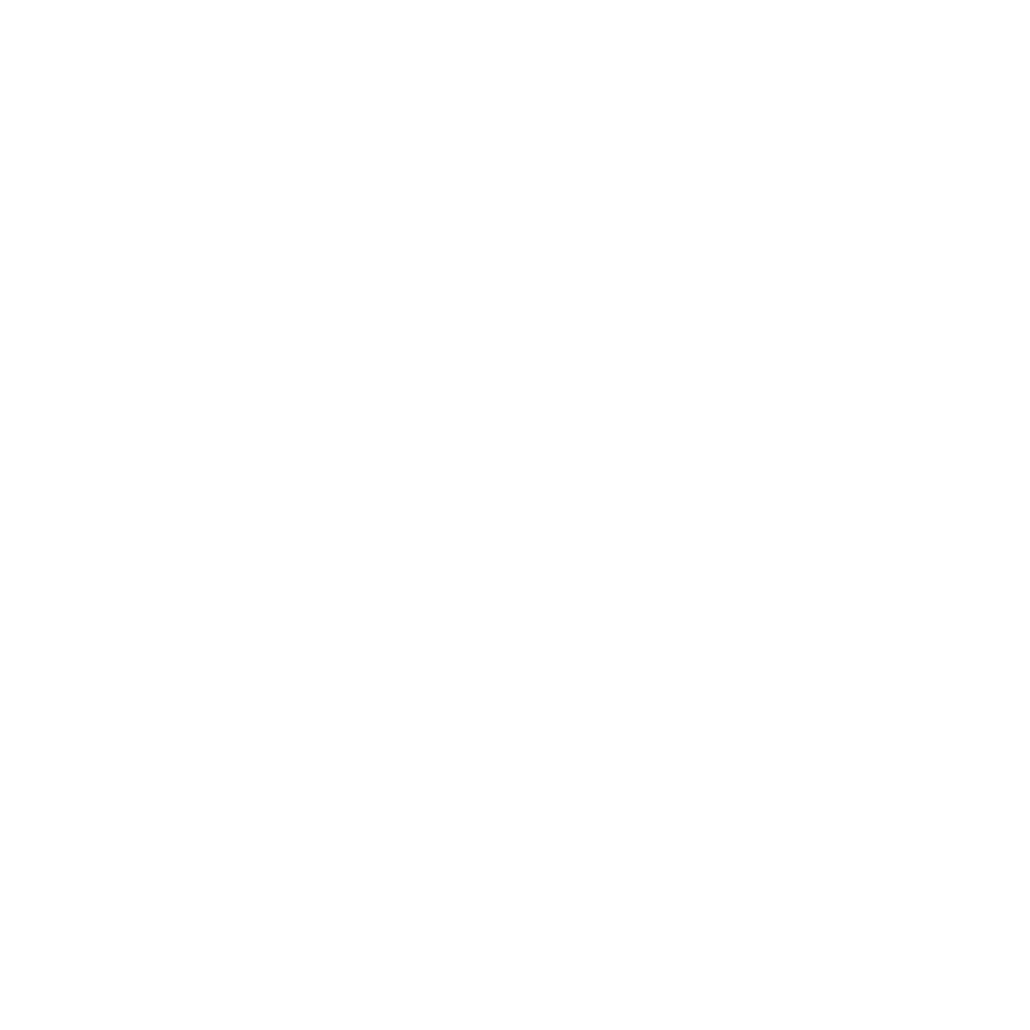 Acai Bowl Sunshine Logo #ffffff