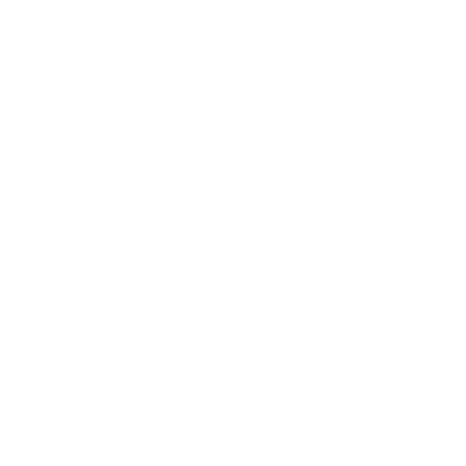 Bamboo Toothbrush Logo #ffffff
