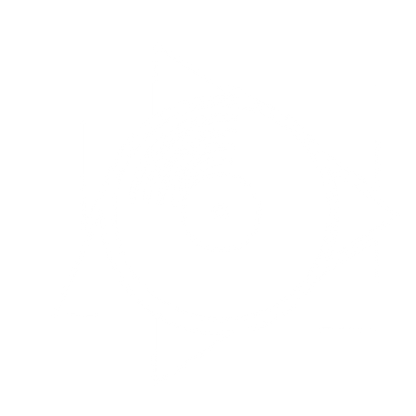 Vinyl Record Play Button Logo #ffffff