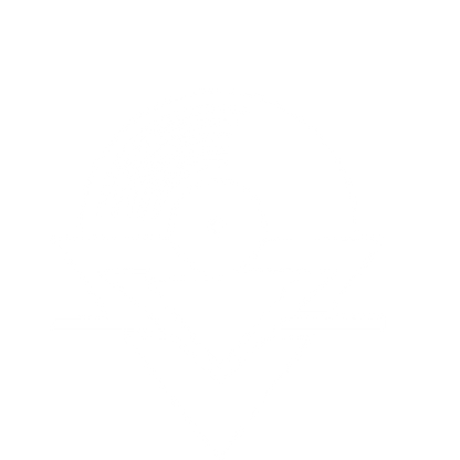 Vinyl Record Arrow Logo #ffffff