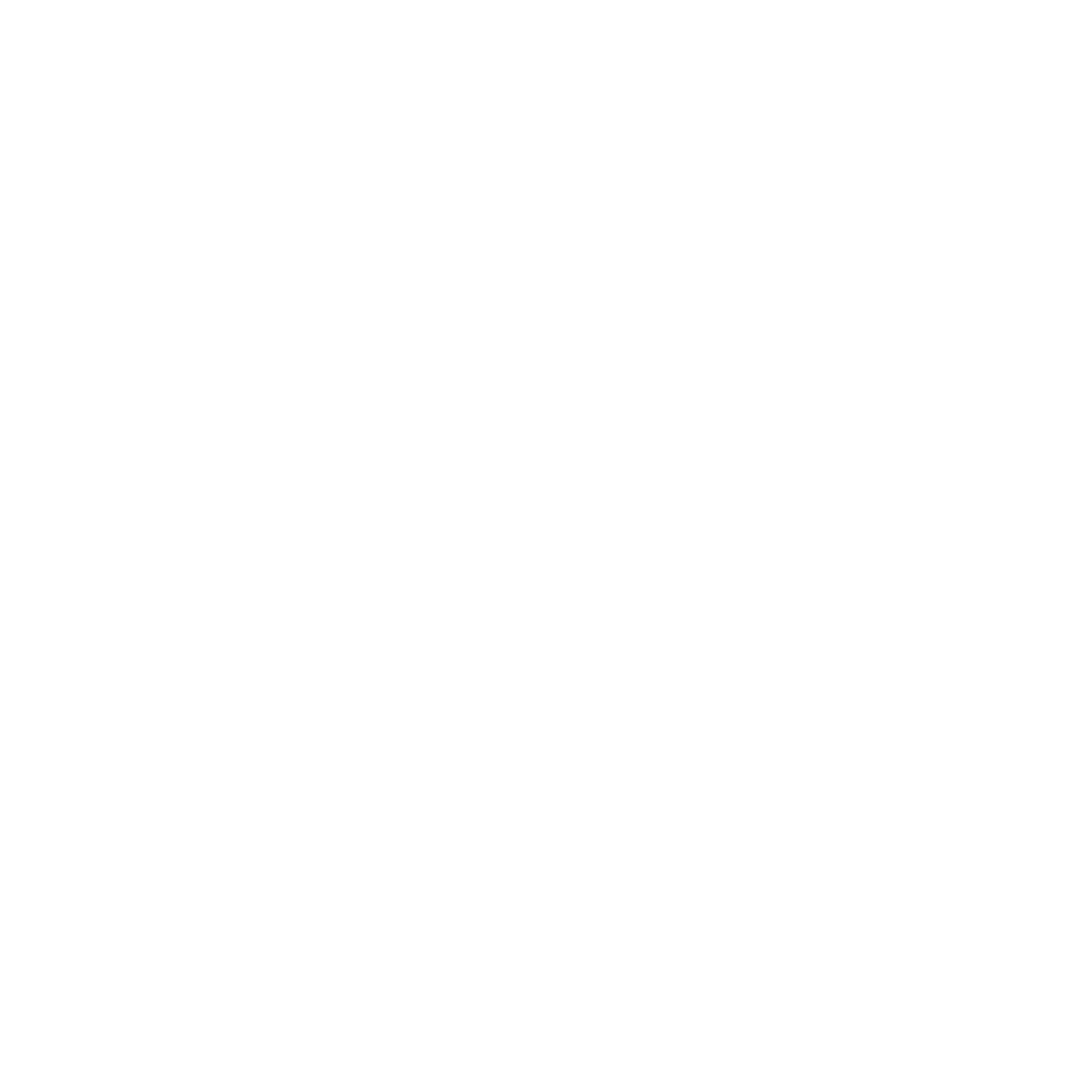 Vinyl Record Burst Logo #ffffff