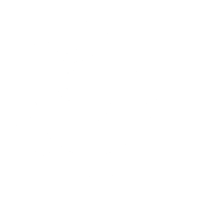 Vinyl Record Burst Logo #ffffff