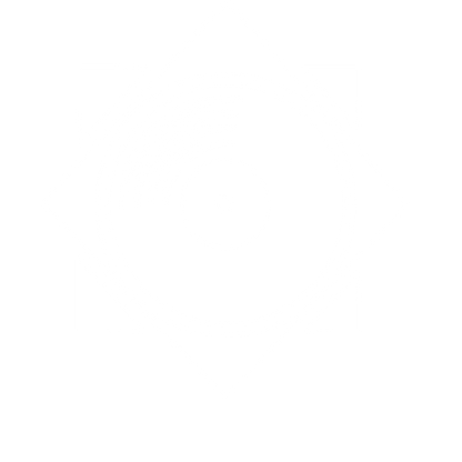 Vinyl Record Star Logo #ffffff