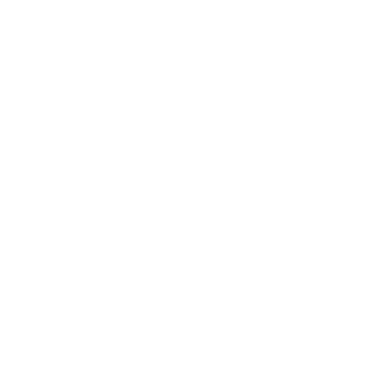 Polaroid Letter P Logo #ffffff