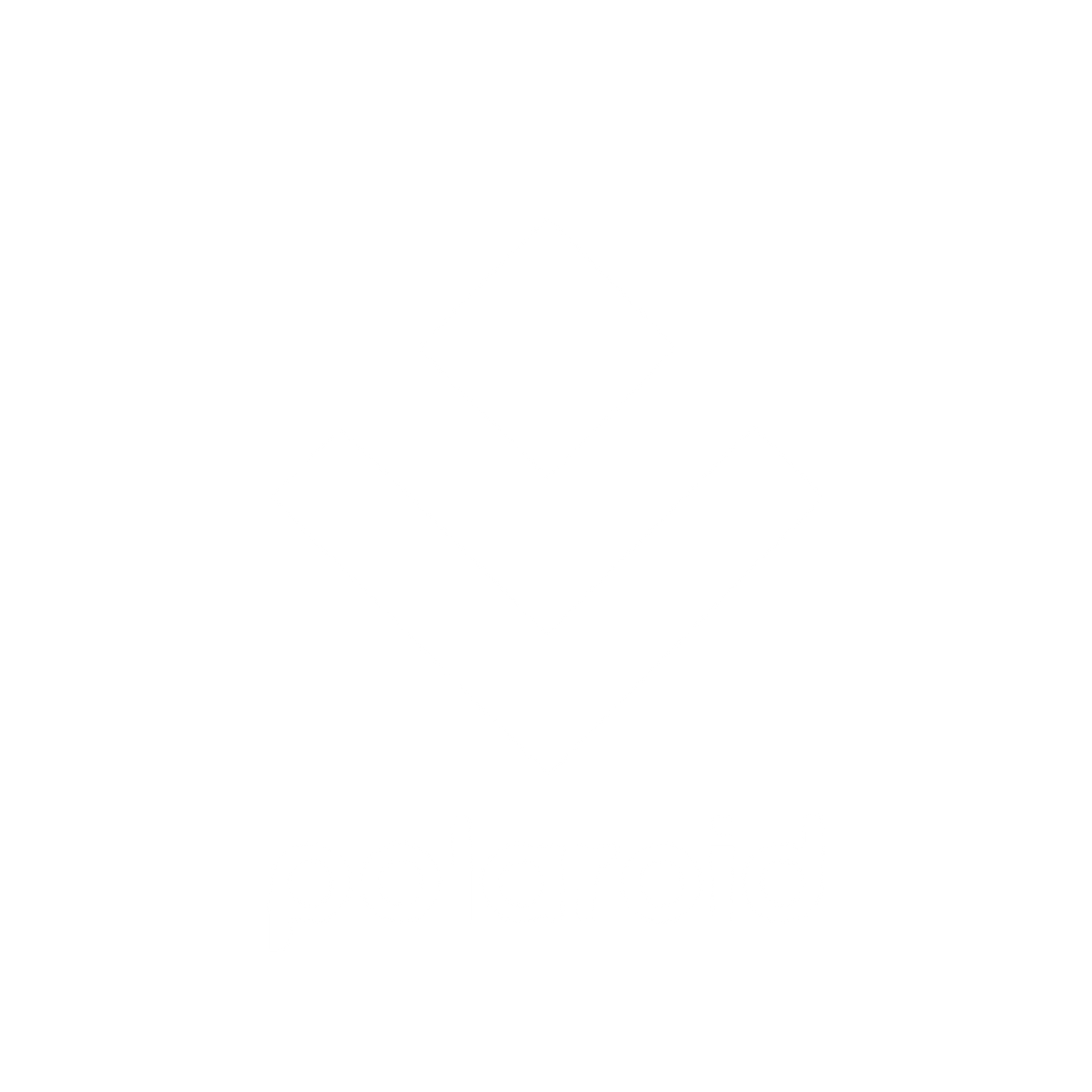 Polaroid Diamond Chevron Logo #ffffff