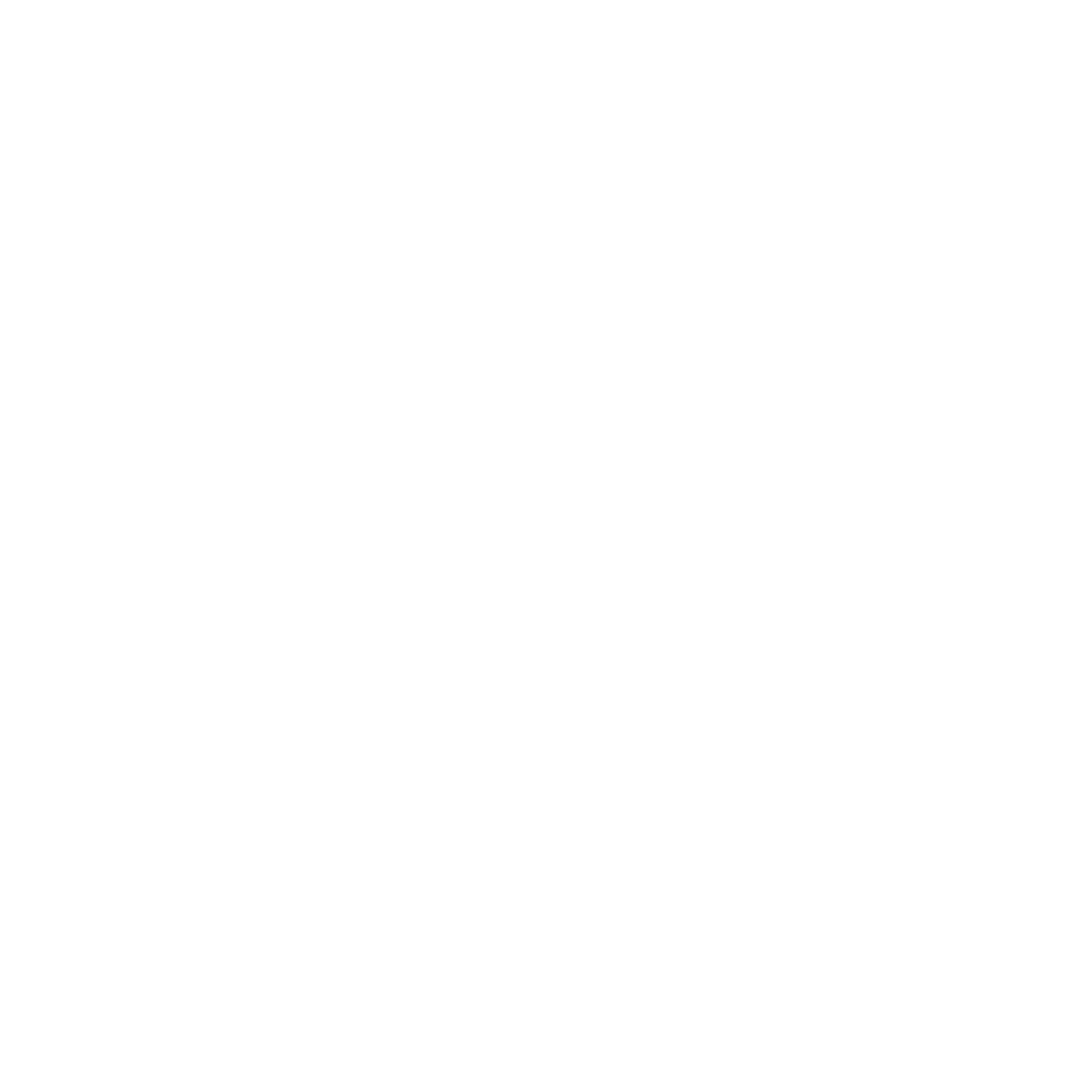 Polaroid Diamond Chevron Logo #ffffff