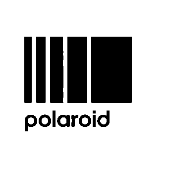 Polaroid Vertical Bars Logo