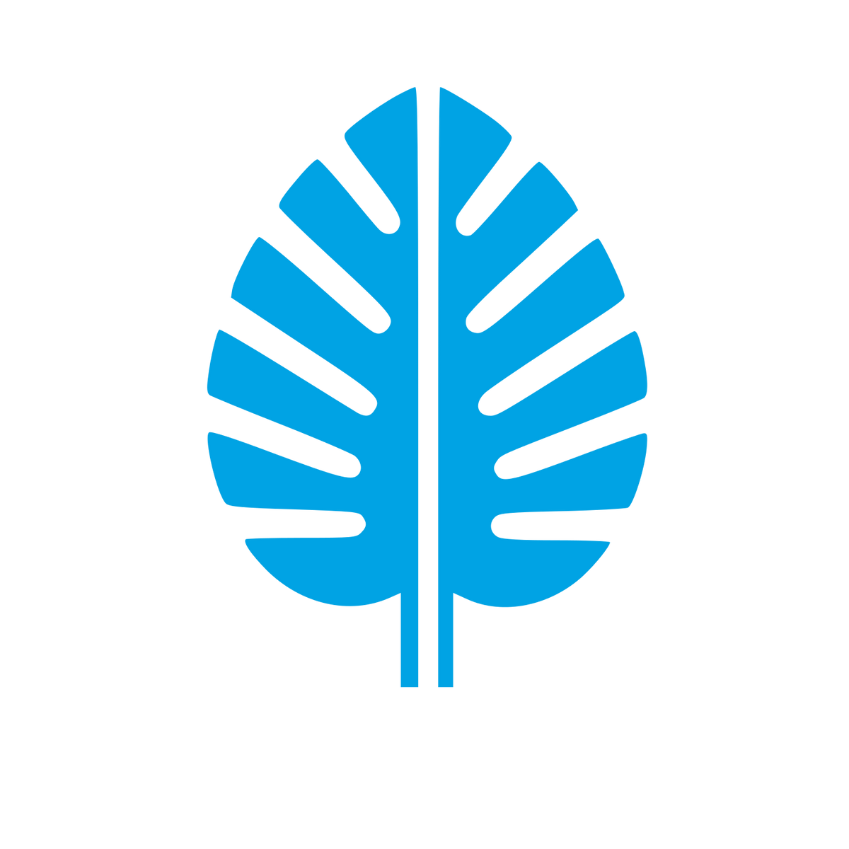Monstera Leaf Bold Logo #00a3e4