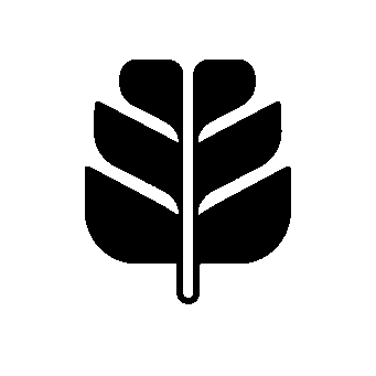 Monstera Leaf Bold Logo