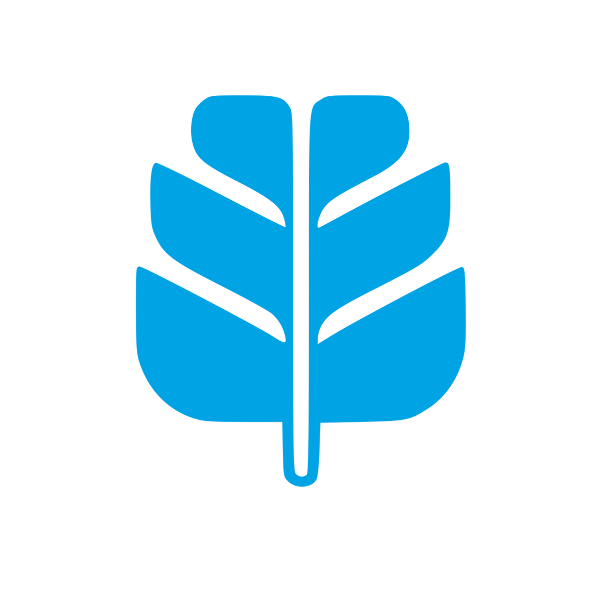 Monstera Leaf Bold Logo #00a3e4