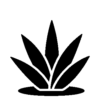 Agave Plant Logo