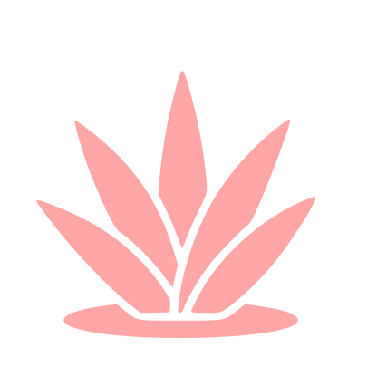 Agave Plant Logo #ffa6a6