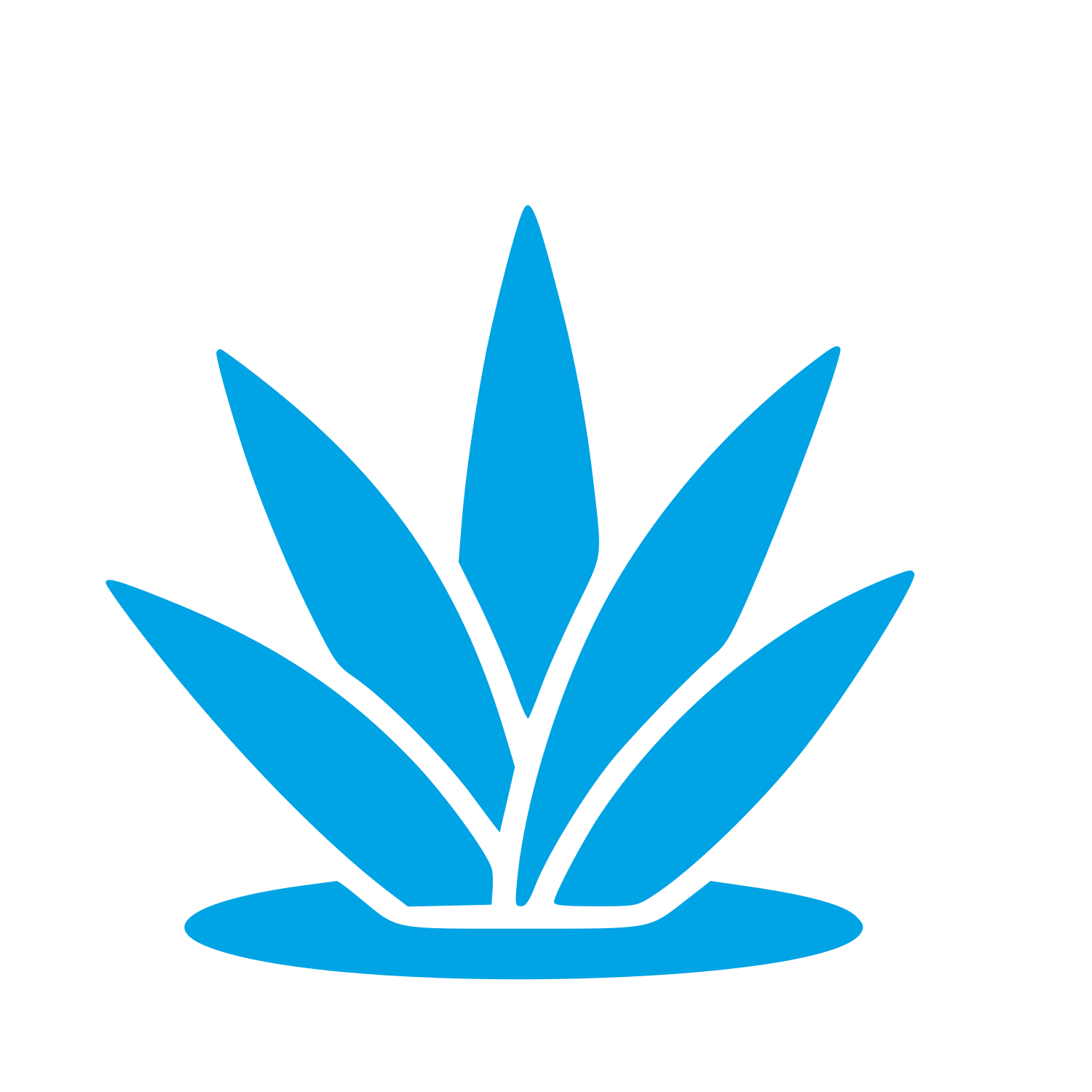 Agave Plant Logo #00a3e4