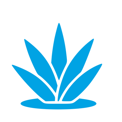 Agave Plant Logo #00a3e4