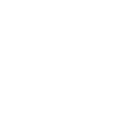 Agave Plant Logo #ffffff