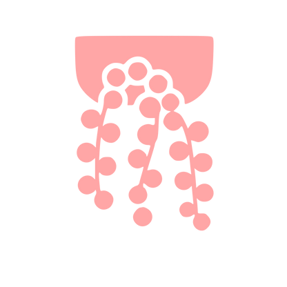 Hanging Succulent Plant Logo #ffa6a6