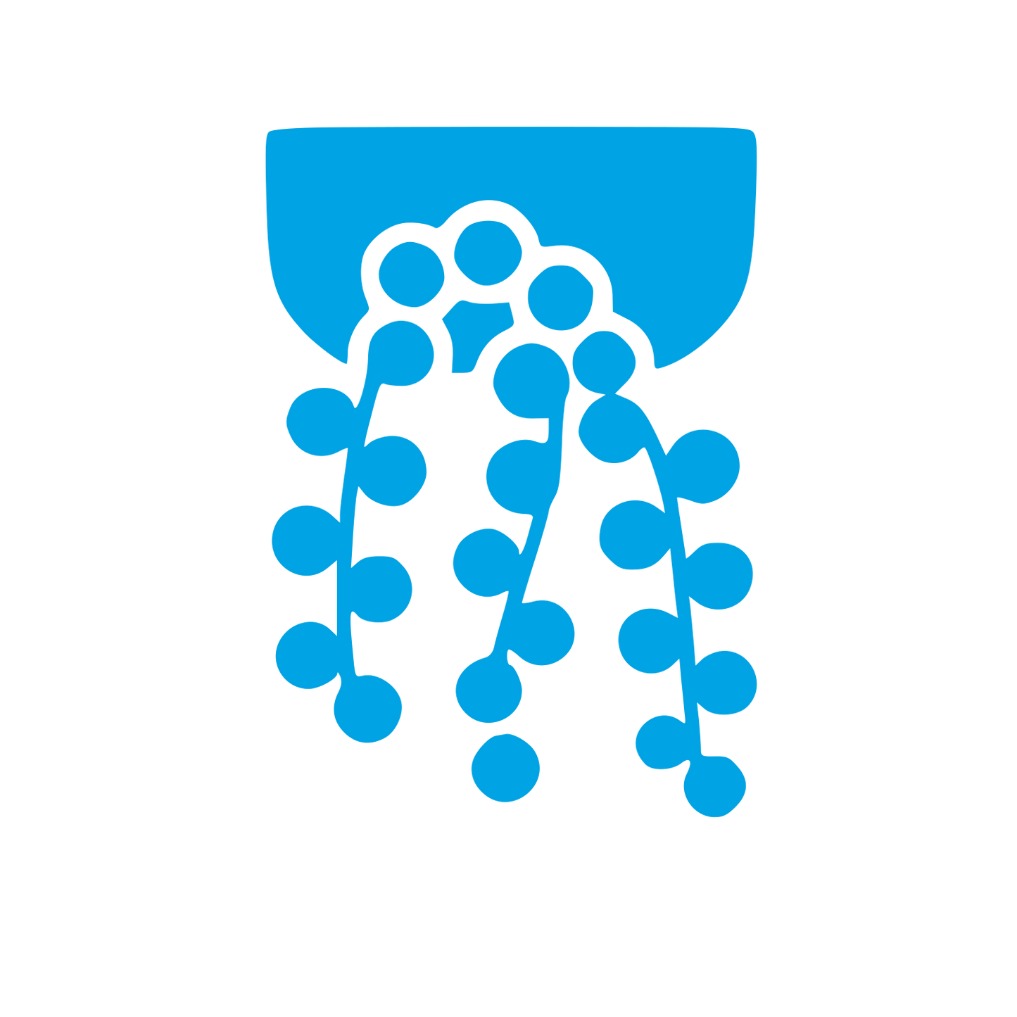 Hanging Succulent Plant Logo #00a3e4